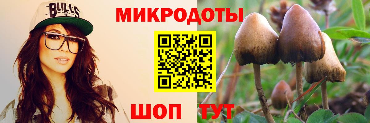 Галлюциногенные грибы GOLDEN TEACHER  Вход с VPN  Галлюциногенные грибы мухоморы  Междуреченск 