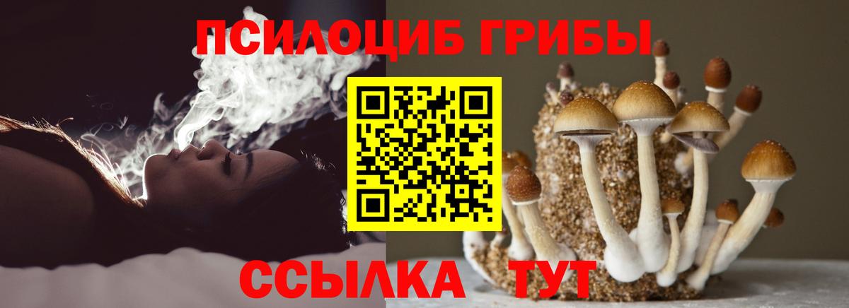 Псилоцибиновые грибы мицелий Междуреченск